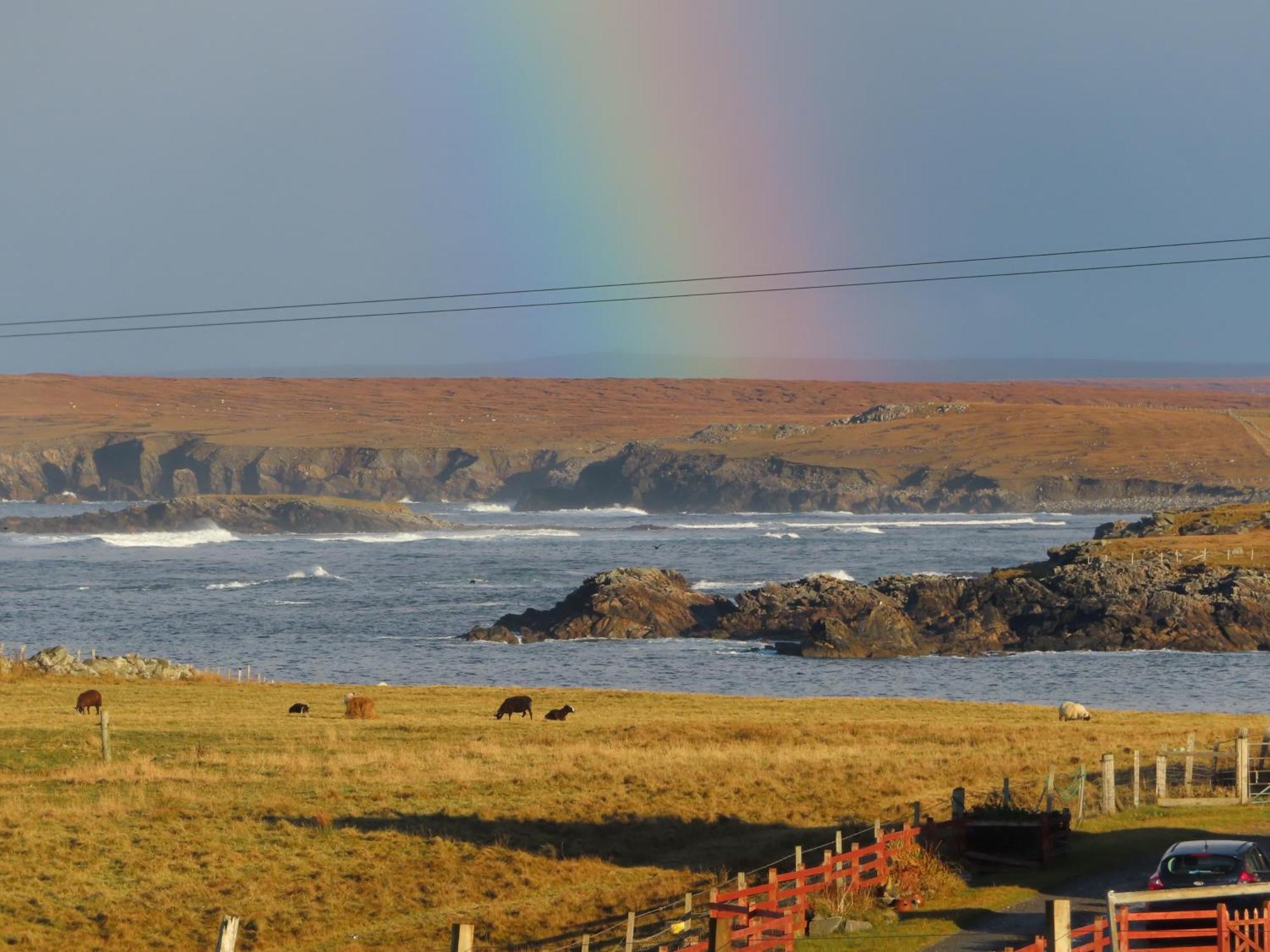Squealing Pig Bothy Barvas Exterior foto
