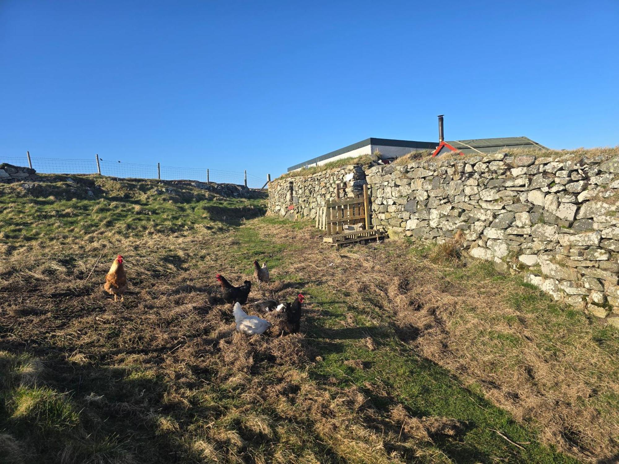Squealing Pig Bothy Barvas Exterior foto