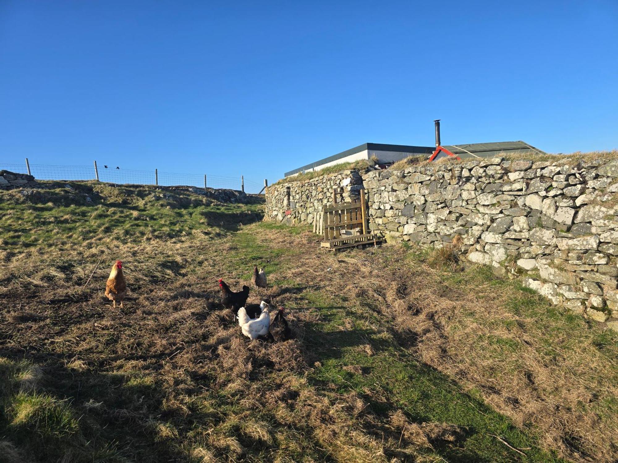 Squealing Pig Bothy Barvas Exterior foto